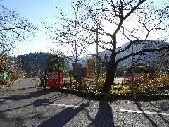 Yanase Maruyama01