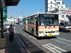 Yeongcheonbus 555