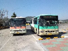 Yeongcheonbus 6304,6339