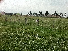 Zafer, 59850 Çorlu Tekirdağ, Turkey Panoramio