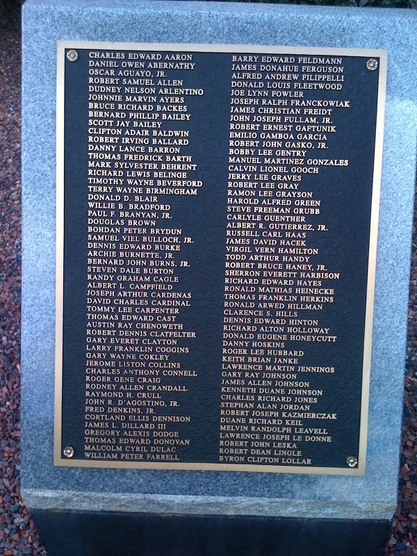 1St50Thinbattalionvietnammemorial4