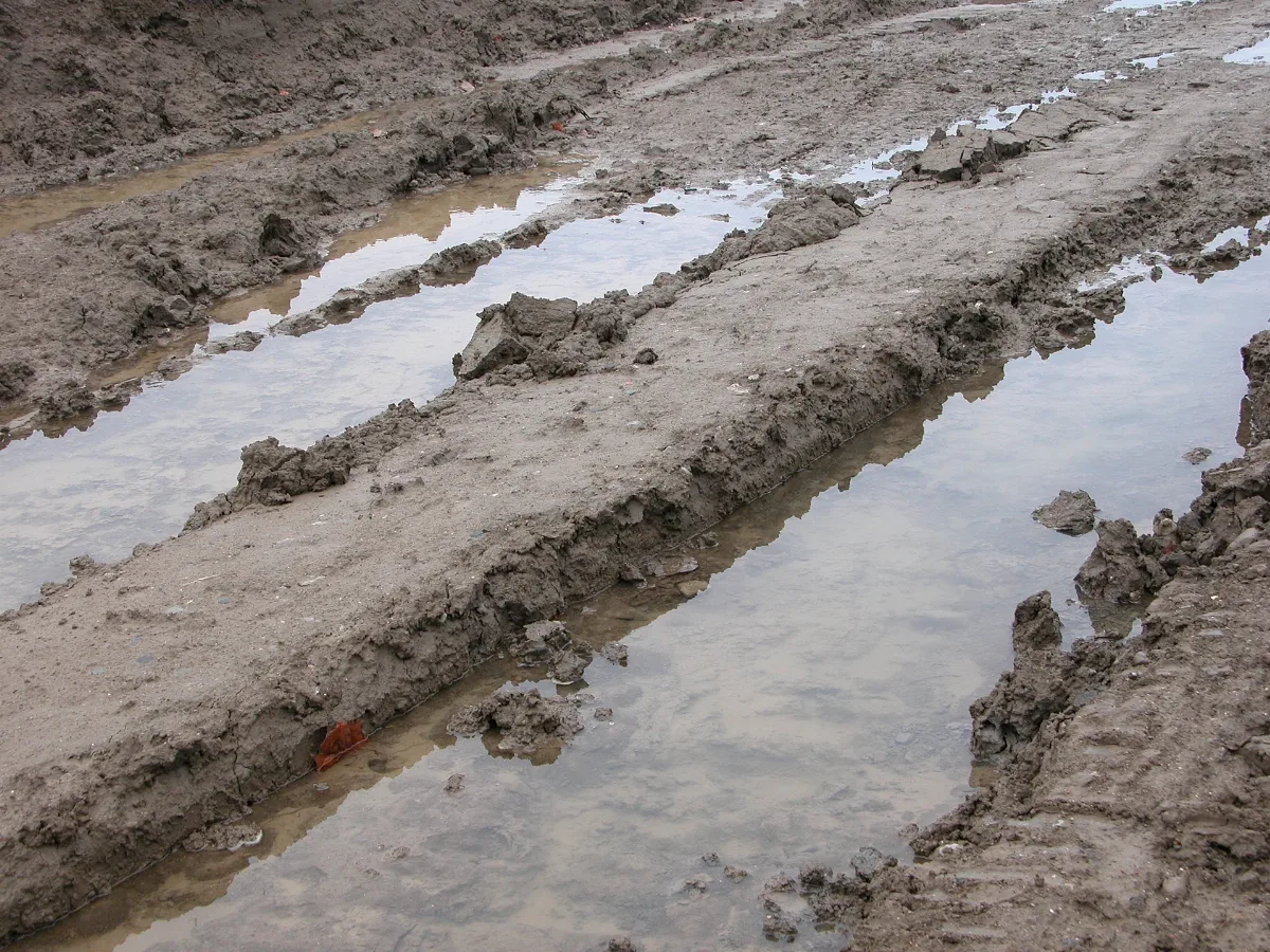 2003 11 27 Wet Tracks Through The Mud
