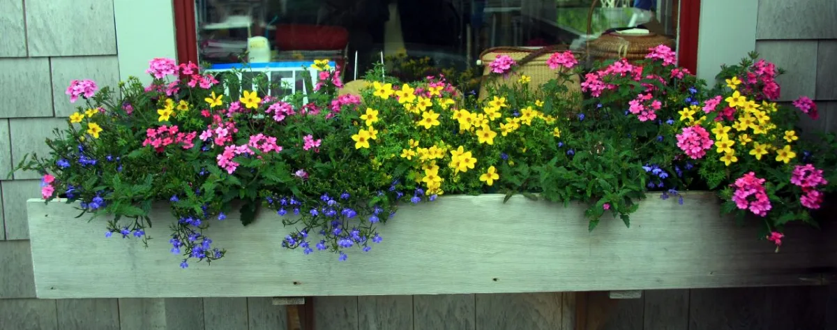2008 Windowbox Nantucket 2632520910