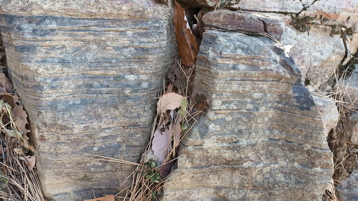 경산37 1