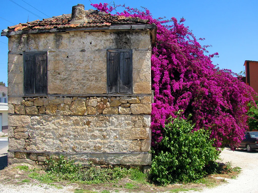 52489669 Panoramio