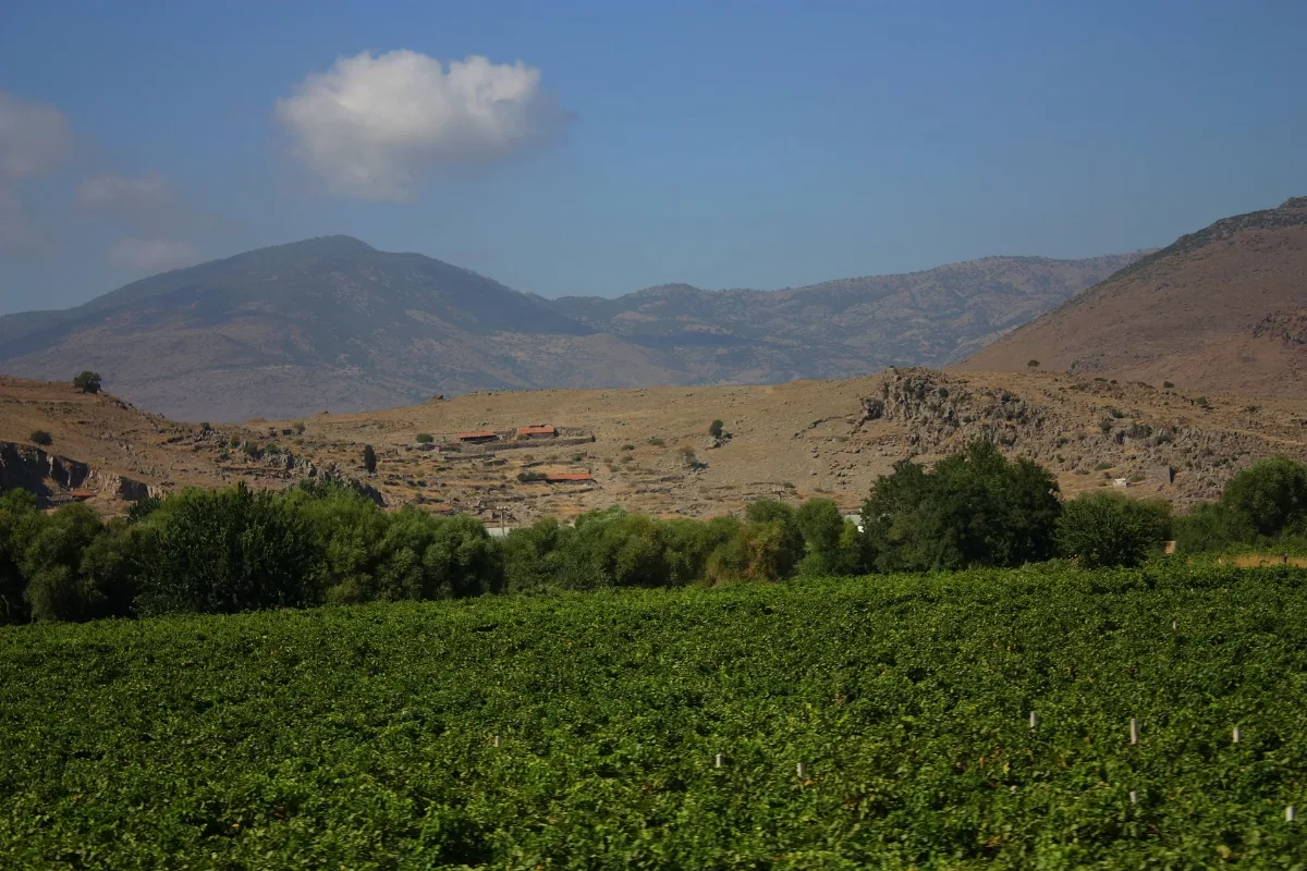 Aliağa İzmi̇r Arsı Bir Yer Panoramio