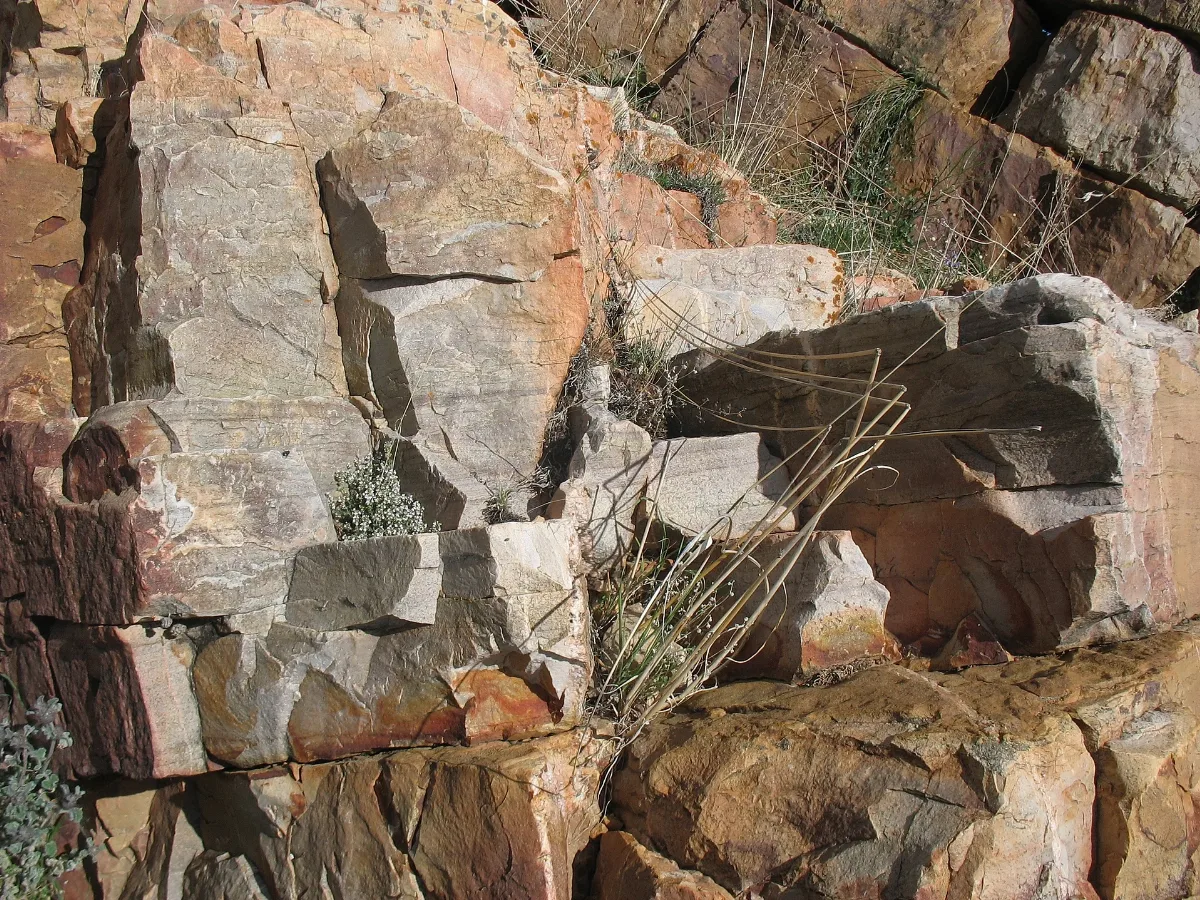 Armorican Quartzite Berrueco, Saragossa, Spain