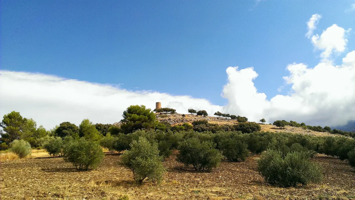 Atalaya De Quesada