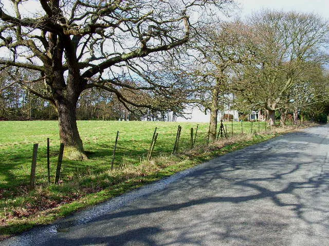 Back Road From New Brancepeth To Esh Winning Geograph.org.uk 146445