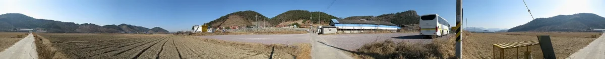 Bongha Village Rice Field