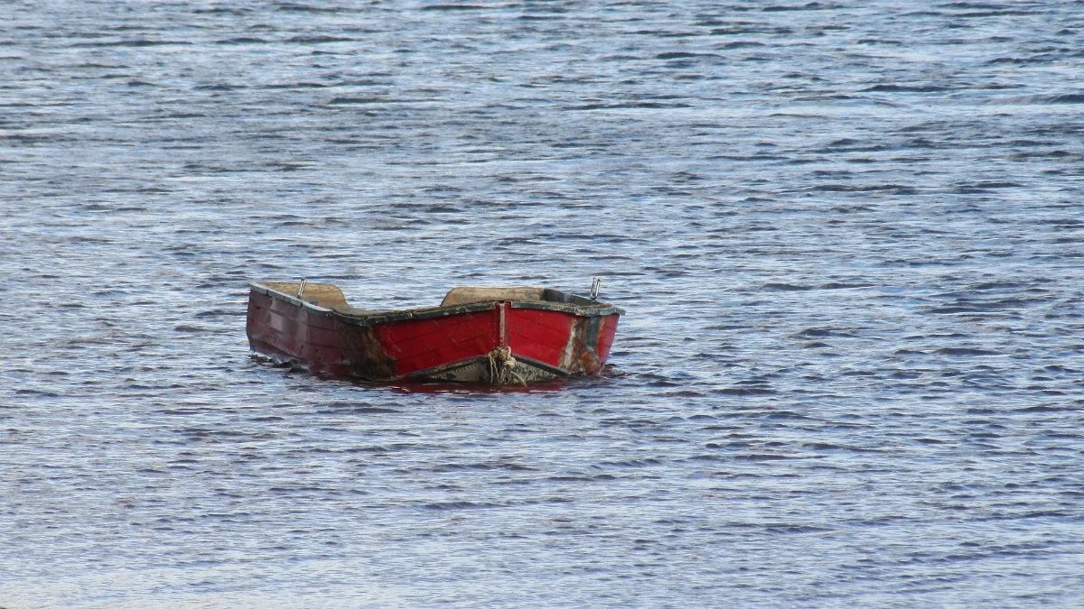 Cardigan River, Warf Rd, Newport (471450) (9450837668)