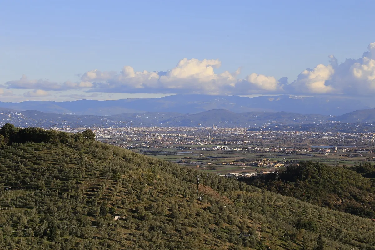 Carmignano Panorama 5039