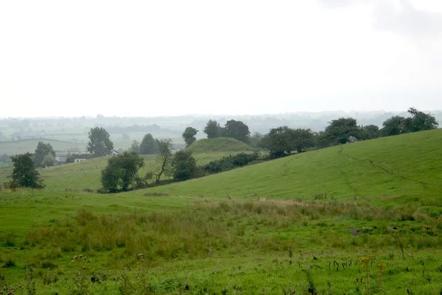Castle Motte, Patrickstown Geograph.org.uk 232243