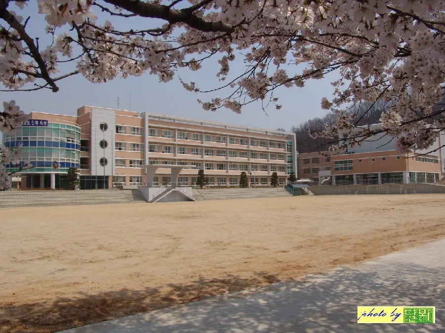Cheonan Girls' High School Panoramio