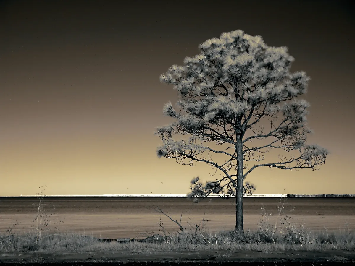 Choctawhatchee Panoramio