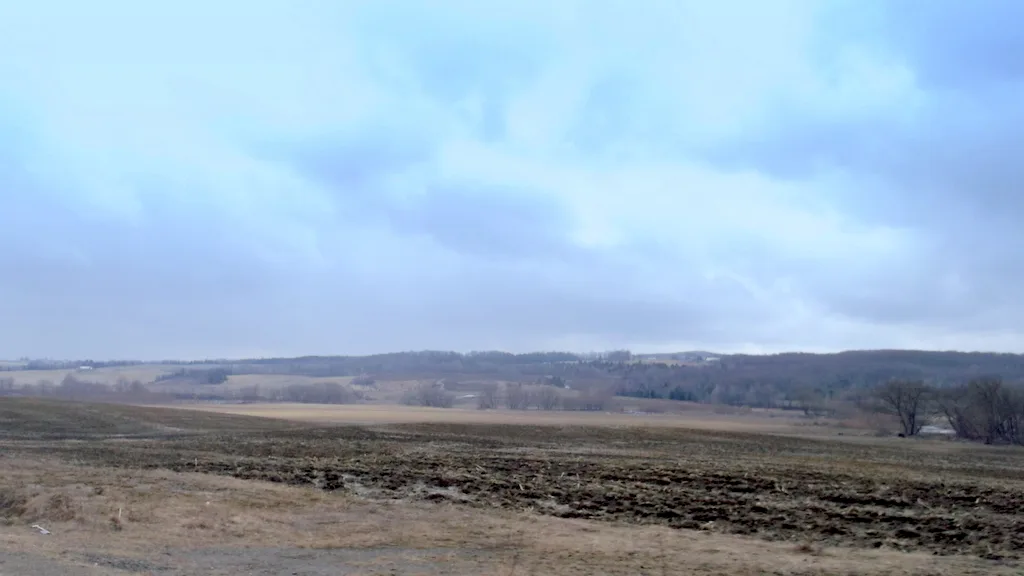 Country Lands Panoramio
