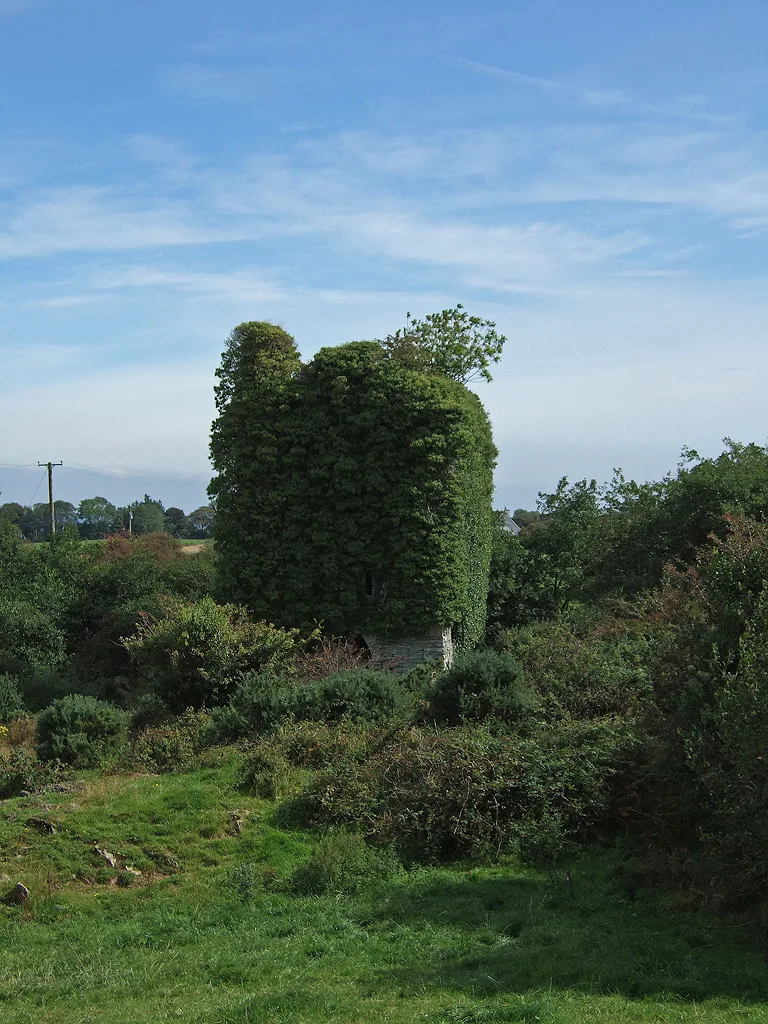 Derryleamleary Castle Geograph.org.uk 537663