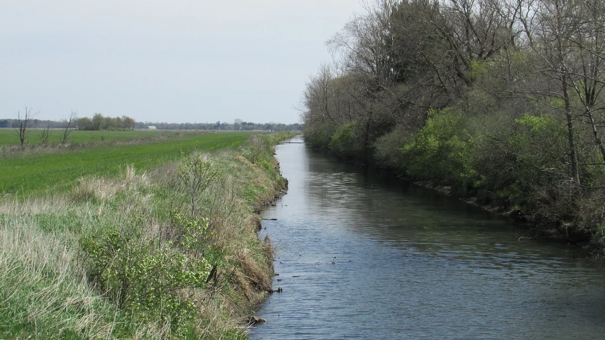Ditch 20 04 11 003