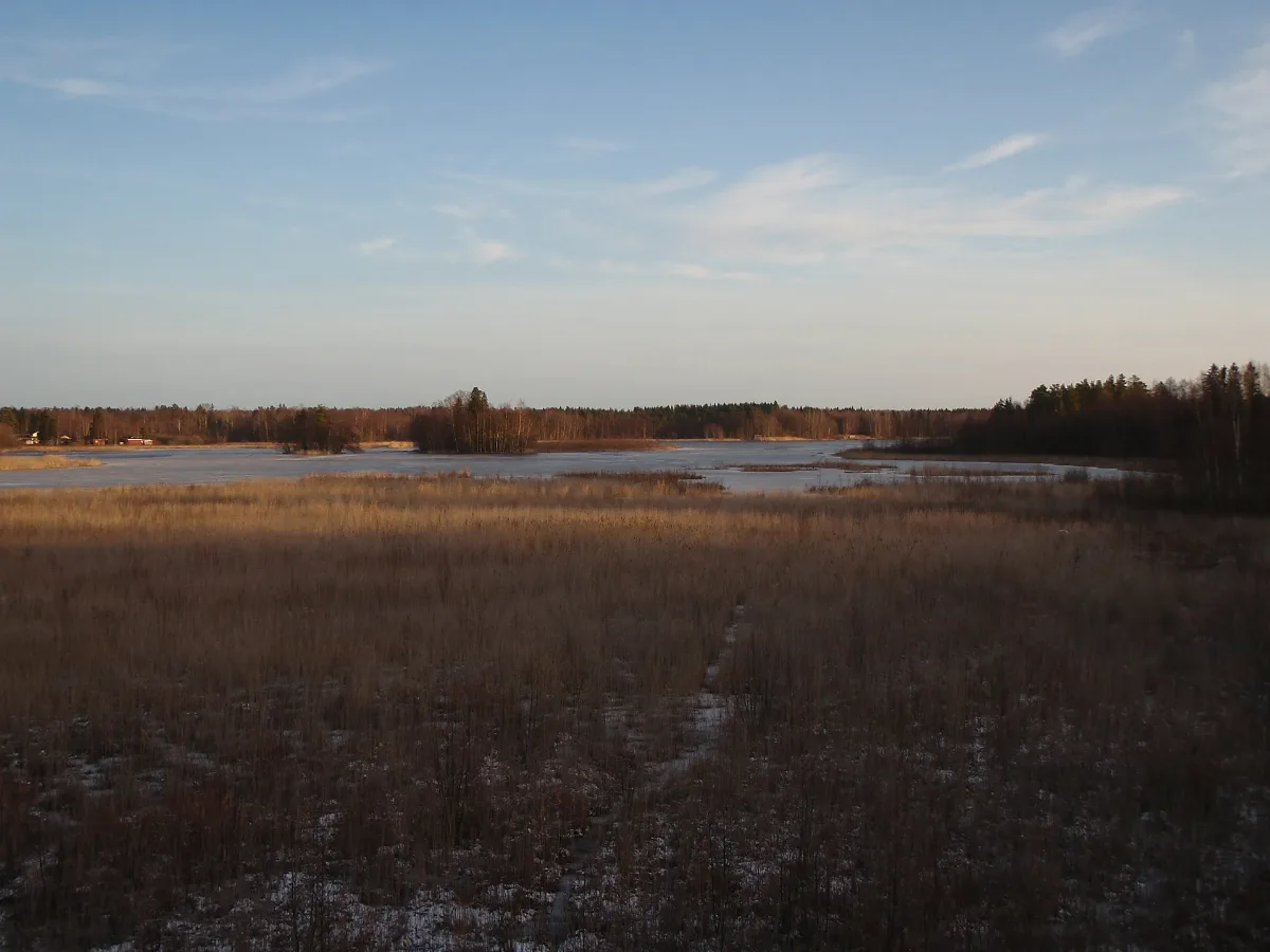 Enäjärvi 1
