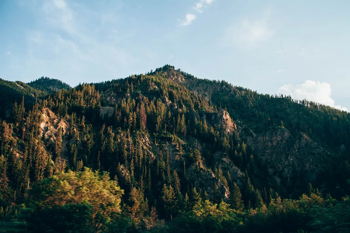 Green Mountain Under Blue Sky (Unsplash)
