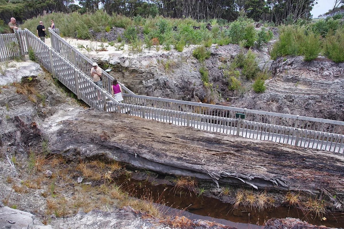 Gumdiggers Park Walk
