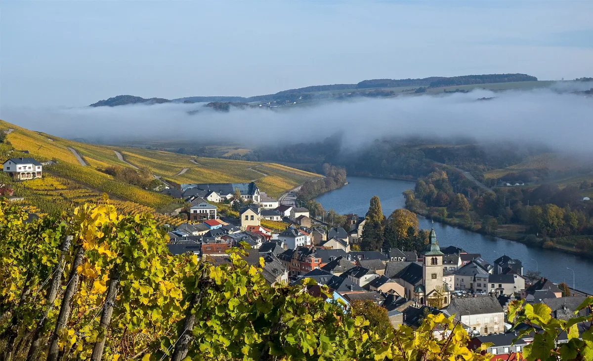 Hochnebel Über Der Mosel Bei Wormeldingen