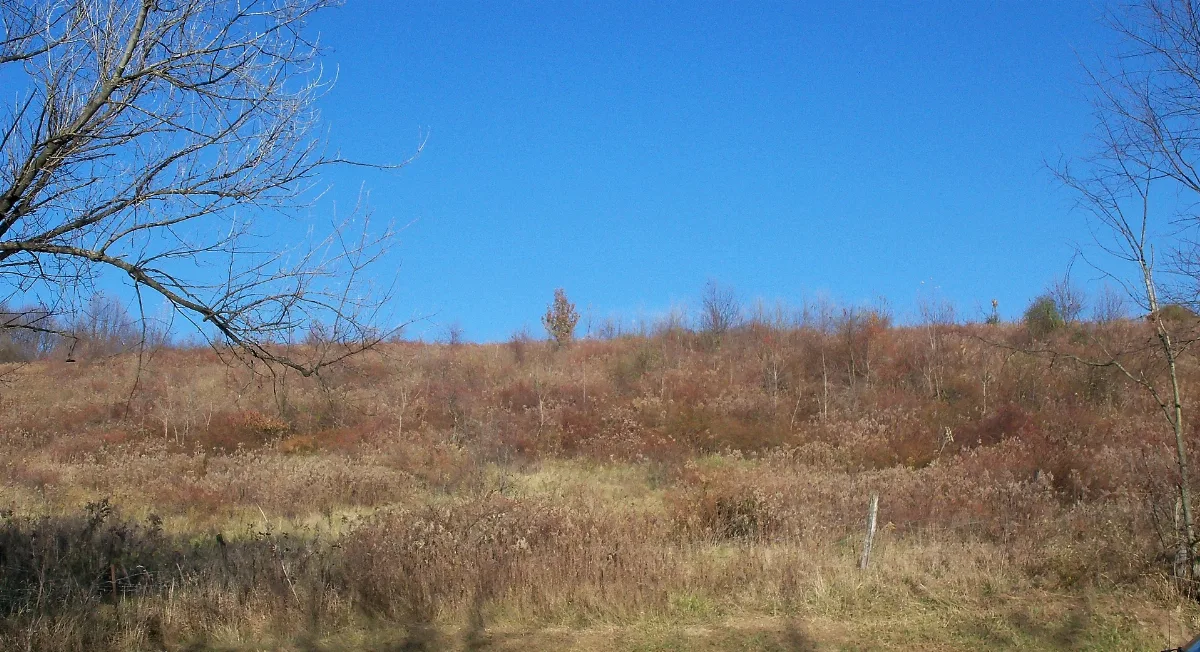 Johnson Site Ii