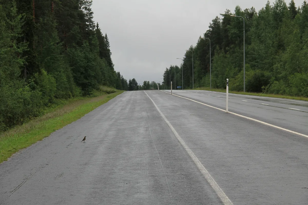 Kajaani Highway Strip 1