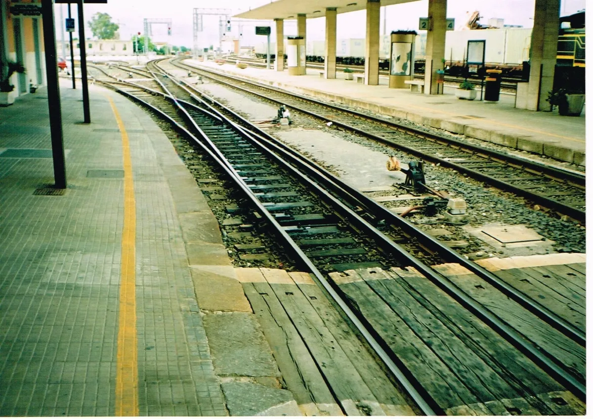 Mixed Gauge Sassari
