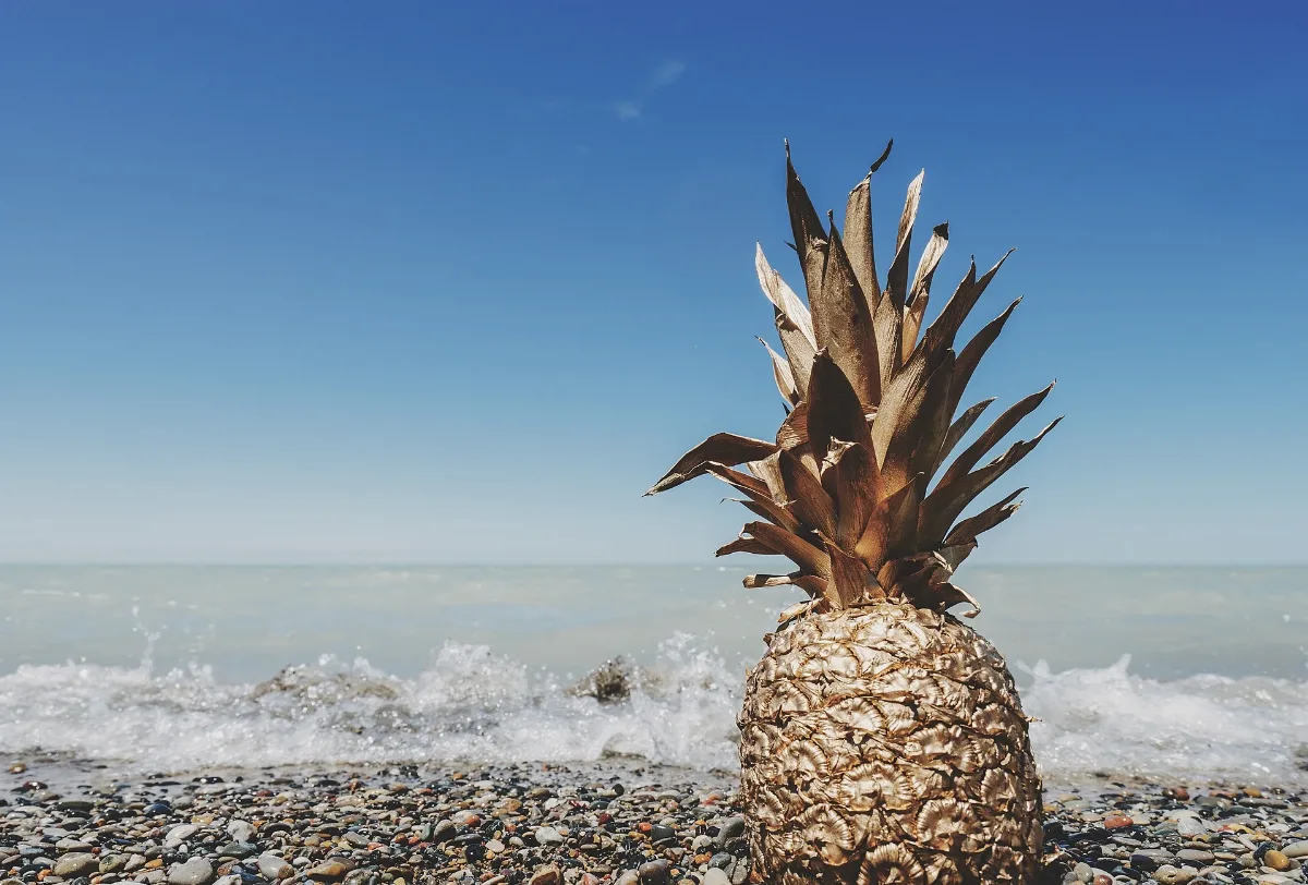 Pinery Provincial Park, Lambton Shores, Canada (Unsplash Kedbencrbzs)