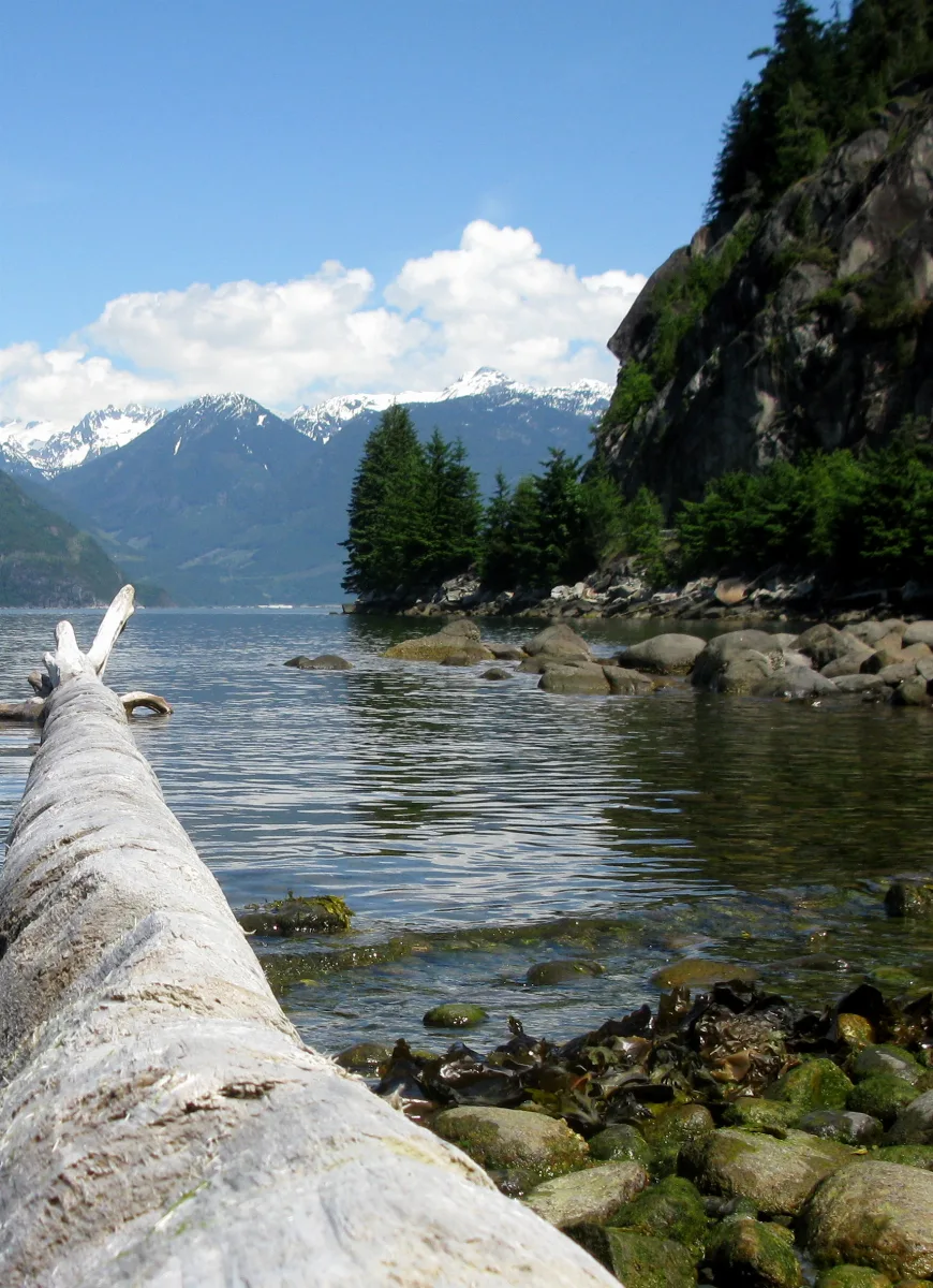 Porteaucovepp Log