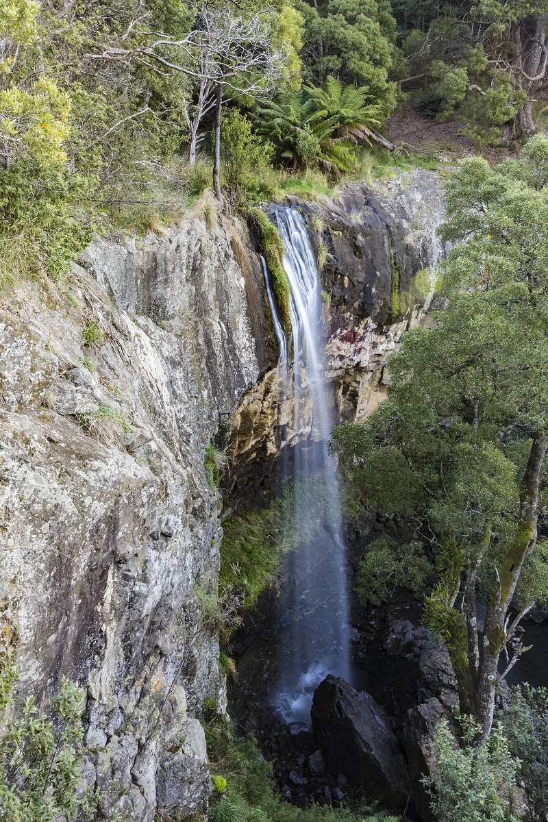Preston Falls, Tasmania (35773817695)