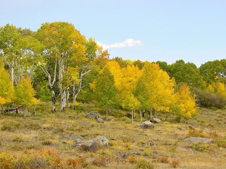 Rd12, Between Escalante And Boulder Panoramio Frans Banja Mulder