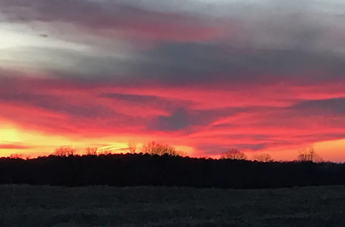 Sunset In Arab Alabama Before The Super Blue Blood Moon (39283992874)